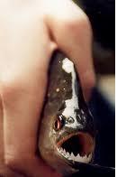 Kullanıcı avatarı