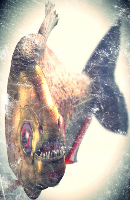 Kullanıcı avatarı