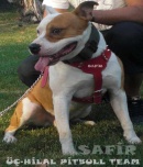 Kullanıcı avatarı